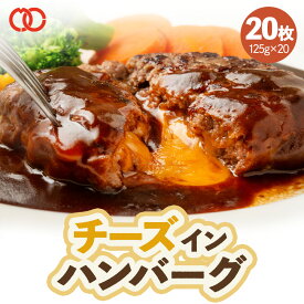 【 はしっこ豚肉500gおまけ付き！ 】 [ 大人気！ 5月31日から順次発送！] 濃厚な チーズ と 牛肉 の旨味 生 ハンバーグ パテ 冷凍 福袋 セット ギフト 125g×20枚 お肉 肉 送料無料 食品 アウトレット 訳あり 父の日 お中元