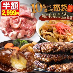 ＼期間限定SALE 半額！／ 【 最大 2kg10品から選べる 】 福袋 ハンバーグ 確定 福袋 訳あり 肉 食品 はし