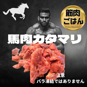 ؃g _CGbg H g[jO n؂藎ƂJ^}@1kg@Ⓚ