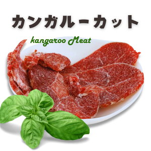 500g` JK[Jbg I[XgAY@ JK[ [~[g JK[~[g@ybg(ALĵ߂́AHij