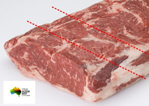 OCtFbhXgbvCiubNj500g@yI[W[r[t狍z[X@T[CXe[L@[Xgr[tp@T[C@ԐgXe[L/Xe[L//Xe[L