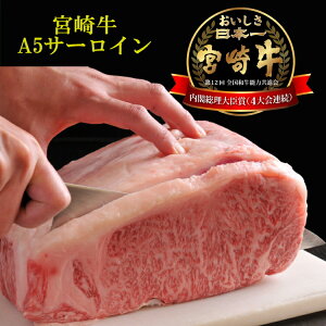 y320gzA5 {苍T[CXe[Lp@/јa A5NX aXe[L/{茧Y/{苍/Xe[L
