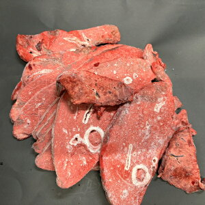 500g`@nxitj@XCXJbg@ Ji_Y/Y@ @n@nx H ybg n @ybt[h@hbNt[h@Lbgt[h@Ⓚo