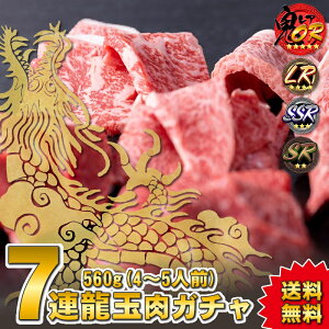 �y���A���K�`�����܁z���A�����K�`���y���ʁz7�A560g�y�SR1�i�ELR1�i�ESSR2�i�ESR1�i�m��E�������� ���̓� �������z