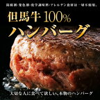 【自家製】【但馬牛】但馬牛100%ハンバーグ　5個　1.05kg【国産牛肉 敬老の日 お彼岸 和牛 a5ランク 黒毛和牛 松阪牛 ギフト 帰歳暮 神戸牛 近江牛 ノンアレルゲン アレルギー グルテンフリー 無添加 但馬牛ハンバーグ 霜降り肉】