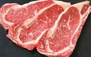 yzyLzT[CXe[L230g×10yY Ɠwj a a5N јa ㋍ Mtg AΕ _ˋ ߍ] đ _˃r[t An ˋ 䑡 j 