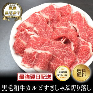 yјazԐ؂藎500gyY Ɠwj a јa Mtg 䑡 j j oYj Cj a ē Ԑg ~z