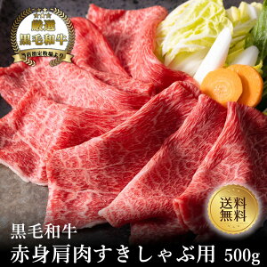 H̃N[|ՁIN[|ŔzIyјazĂEԂԗp500gyY Ɠwj a јa Mtg 䑡 j j oYj Cj a Ă ~