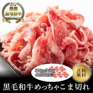 yјazԐgܐ؂߂ᐷ250gyYa јa a 䑡 AΕ j j oYj Cj a Ԑg ܐ؂ V ig  g؂z