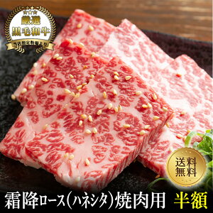 H̃N[|ՁIN[|ŔzIyјaz㑚~[X(nlV^)ēp600gyY Ɠwj a јa Mtg 䑡 j j oYj Cj a ē Ԑg ~