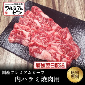 マイチクスーパーSALEクーポンで半額【国産プレミアムビーフ】赤身内ハラミ焼肉用400g【国産牛 交雑牛 F1 A4ランク 御贈答 内祝い 御祝 出産祝 快気祝 お誕生日 父の日 焼肉 BBQ 鉄板焼 カルビ バラ】