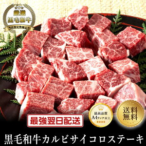 yјazJrTCRXe[L500gyY Ɠwj a јa Mtg 䑡 j j oYj Cj a ē Ԑg ~z