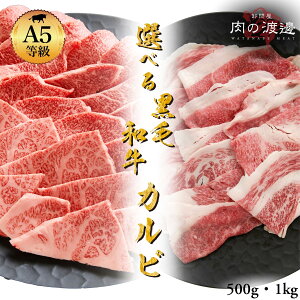 K ɏ јaJr ēp 500g 1kg  Jr Y a I ē ēp  󂠂  Ε BBQ o[xL[ a   蕨 i v[g Mtg j a