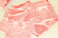 店長おまかせ　国産和牛切り落とし　500g