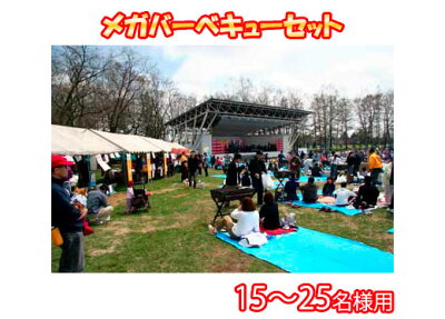 メガバーベキュー・BBQセット2012年モデル