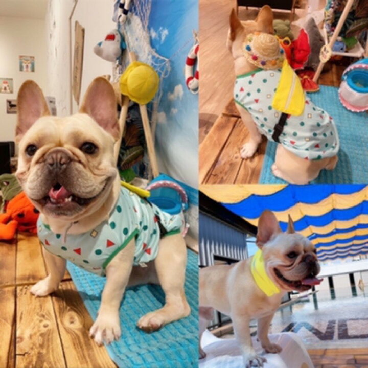 楽天市場 犬服 ポーチ付きタンクトップ ペット服 犬服 ドッグウェア S Xxlサイズクレヨンしんちゃんパジャマ柄 グリーン 送料無料 Meatrice 楽天市場店