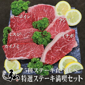 ステーキ5種食べ比べセット 計620g お歳暮 冬ギフト ギフト プレゼント 食べ比べ たべくらべ 肉 牛肉 国産牛 ステーキ サーロイン カイノミ イチボ ミスジ ランプ お取り寄せ ギフト