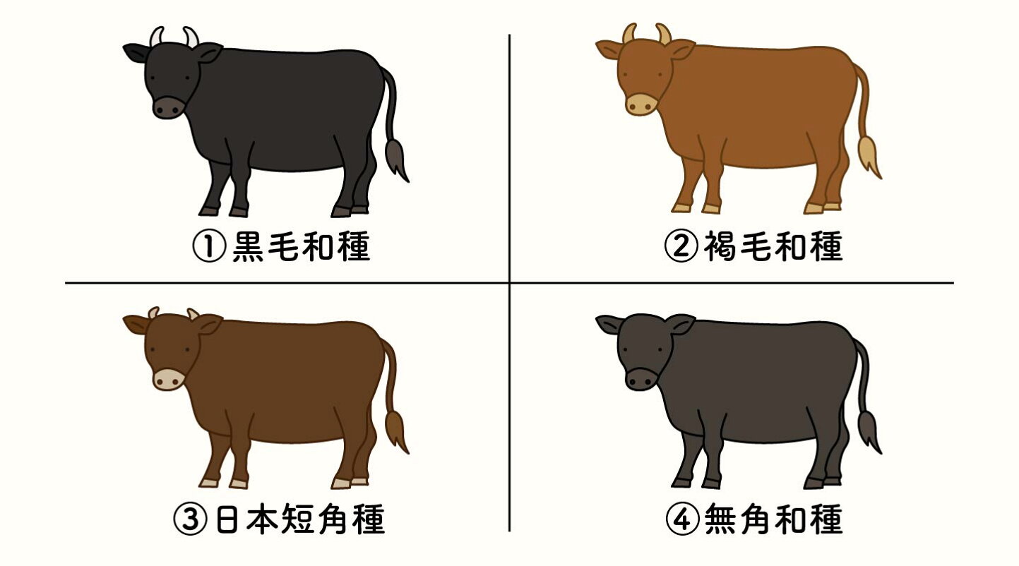 黒毛 和 種 黒毛 和牛 違い