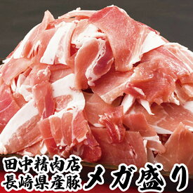 ＼全品対象！2点以上で30％OFFクーポン！30日まで／長崎県産 豚肉切り落とし 豚もも 豚 モモ 豚もも肉 切落し メガ盛り 500g×2 豚肉 切り落とし 豚こま 国産 国産豚 業務用 家庭用 肉 冷凍 半真空 1kg 大容量 豚小間 豚コマ SPF豚 うずしおポーク 西海ポーク ポーク