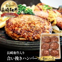 長崎和牛 極ハンバーグ 6個セット (1個160g) | 黒毛和牛 和牛 豚 豚肉 ハンバーグ 合挽ハンバーグ 長崎県産 贈答 お中元 御中元 御歳暮 お歳暮 プレゼント ハンバーグステーキ 特大 特選 冷凍 真空パック 個包装 小分け 送料無料