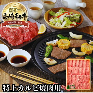 Jr ē Jrē  Mtg ĂMtg Mtg A5 ēp ~ a j LO Jr O v[g ܔ 