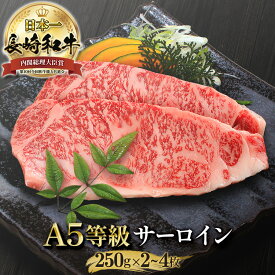 サーロインステーキ 長崎和牛 和牛 サーロイン ステーキ 2枚 計500g 長崎県産 各約250g A5 黒毛和牛 贈り物 高級 ステーキ肉 ギフト 高級肉 牛ステーキ 肉 ロース お取り寄せグルメ 贈答用 プレゼント 牛肉