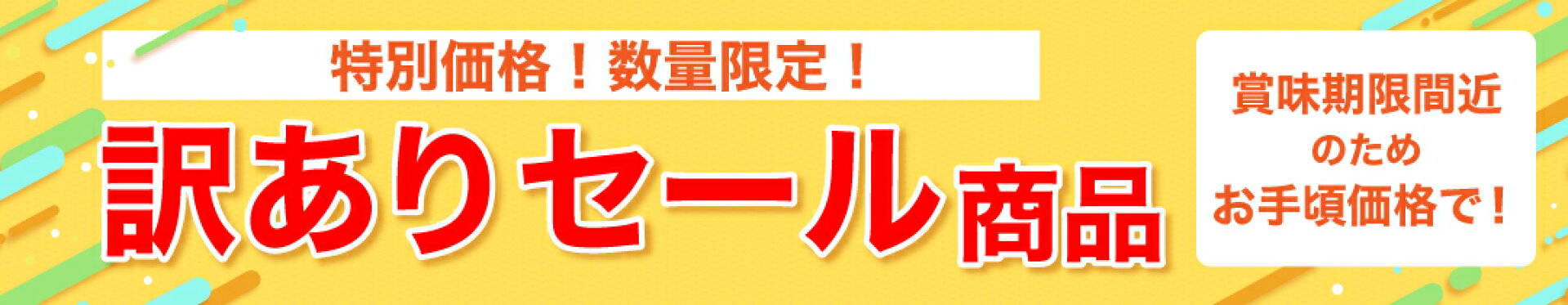 訳ありセール特別価格