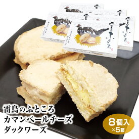 【送料無料】雷鳥のふところカマンベールチーズダックワーズ8個入り×5箱セット 信州 松本 安曇野 黒部 立山 おみやげ 菓子 あいの風