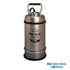 寺田ポンプ製作所 CS-250 60HZ ステンレス水中ポンプ (SUS304) 単相100V 非自動運転形