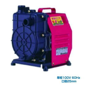 寺田ポンプ製作所 HP-200 60HZ ハンディーポンプ 単相100V