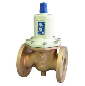 �x�� RD33FN-FL 65A(2.1/2) ������