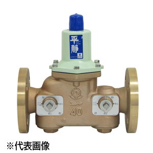 �x�� RDB33FN-FL 40A(1.1/2) �o�C�p�X�t �o�C�p�X�t������