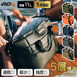 �y���I�ōő�P�S�z�Ҍ��z�y�y�V1�ʁz �N�[���[�o�b�O 12�p�b�N AO Coolers �G�[�I�[�N�[���[�Y �L�����o�X �\�t�g�N�[���[ 11L 5�w�\�� �N�[���[�{�b�N�X �g�[�g �ۗ�o�b�O �o�b�O ��e�� �f�M 