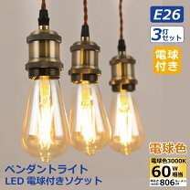 楽天市場】エジソン電球 ソケット ダクトレールの通販