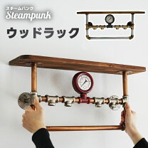 楽天市場】スチームパンク 衣装（収納家具｜インテリア・寝具・収納 