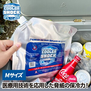 ۗ  N[[VbN ACXpbN COOLER SHOCK SET MTCY JԂg鋭͕ۗpbN N[[{bNXp ۗpbN WF -7 ԗp ėp\ ×pZpp Ⓚ 