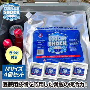 ۗ  N[[VbN ACXpbN COOLER SHOCK SET MTCY 4Zbg JԂg鋭͕ۗpbN N[[{bNXp ۗpbN WF -7 ԗp ėp\ ×pZp