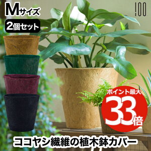 7号 観葉植物 鉢の人気商品 通販 価格比較 価格 Com