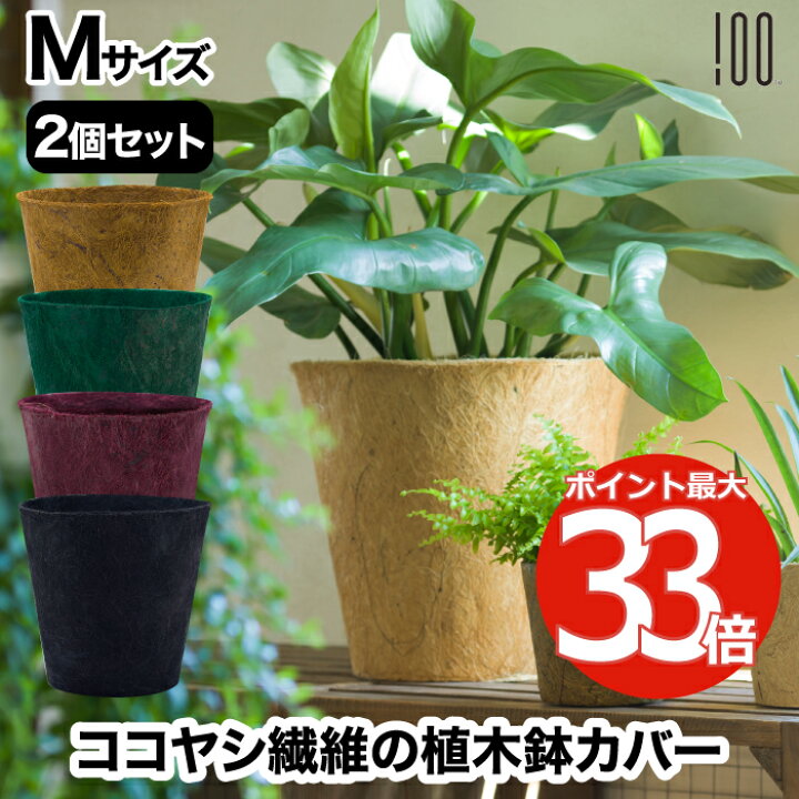 園芸 インテリア ポット PR5 p33 マット釉 観葉植物用 代引き不可 花 白 M 1個入り wy-pr5w09p A プランター 9号 受け皿付きセット モダン 園芸 インテリア ポット PR5 p33 マット釉 観葉植物用 代引き不可 花 白 M 1個入り wy-pr5w09p A プランター 9号 受け皿付きセット モダン
