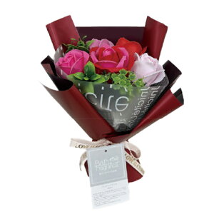 yyVLO܁z \[vt[ u[P  oXtOX NAobOt ԑ Mtg ̓ v[g KNC t[  a j   