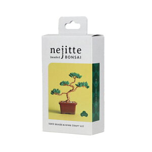 yyV1ʁz r[YLbg SҌ lWbeBONSAILbg C[A[g ~̓Lbg Ntg  | DIY ȒP ̌Lbg m CeA ~L MIYUKI l v[g a