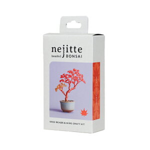 yIōőPSzҌzyyV1ʁz r[YLbg SҌ lWbeBONSAILbg C[A[g ~̓Lbg Ntg  | DIY ȒP ̌Lbg m CeA ~L MI