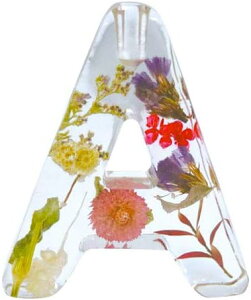 A}fBt[U[ yIׂTtz BOUTE CjV tOX Zbg n[oE hCt[    A} n[u x[ x_[ [Y XN WX~ 