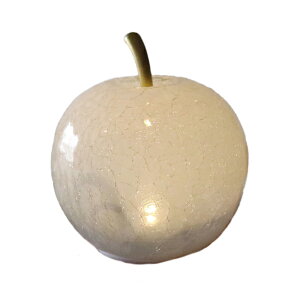 LUMO Abvv LEDCgt R[hX KX  u IuWF CeACg ԐڏƖ iCgCg  Q rO ドCg  v[g Mtg NX}X