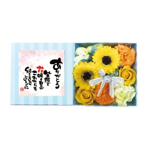 yIōőPSzҌzԂ̓ \[vt[ oXtOX {bNXAW |Gt KN Ђ܂  MtgZbg oC AC tHgt[  肪