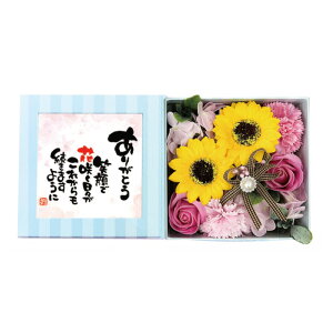 yyVLO܁z Ԃ̓ \[vt[ oXtOX {bNXAW |Gt KN Ђ܂  MtgZbg oC AC tHgt[  肪