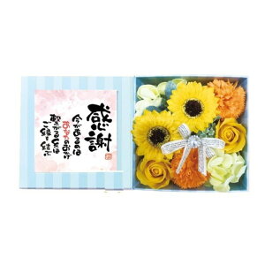 yyVLO܁z Ԃ̓ \[vt[ oXtOX {bNXAW |Gt KN Ђ܂  MtgZbg oC AC tHgt[  肪