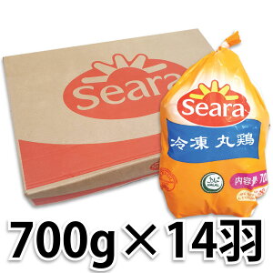 yN[ⓀցzuWY O[ ی{ 14H 700gTCY /  n[F { `L 1BOX