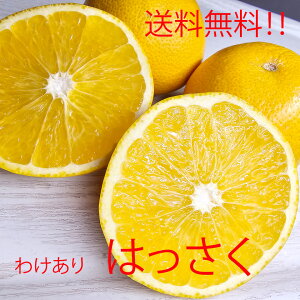 �󂠂�@����@�͂������@�킯����