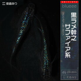 【送料無料】黒ラメ幹之サファイア系 成魚 ペア ラメ メダカ 改良 めだか しっかり黒い 成魚 販売 水槽 初心者 品種 種類 人気 ビオトープ 鉢 餌 高級 生体